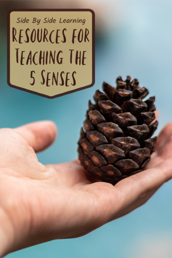 Resources teaching the 5 senses