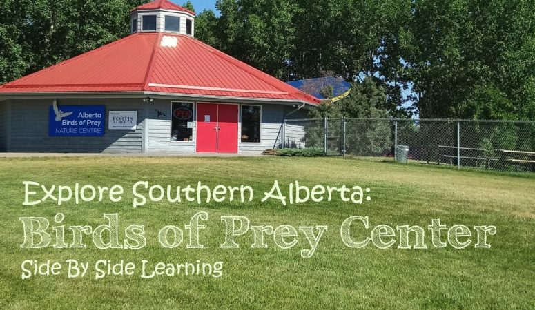 Explore Southern Alberta: Birds of Prey Center