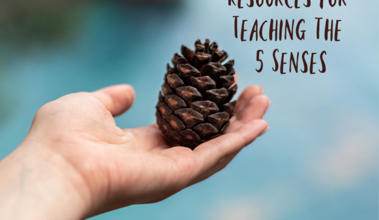 Teaching the 5 Senses