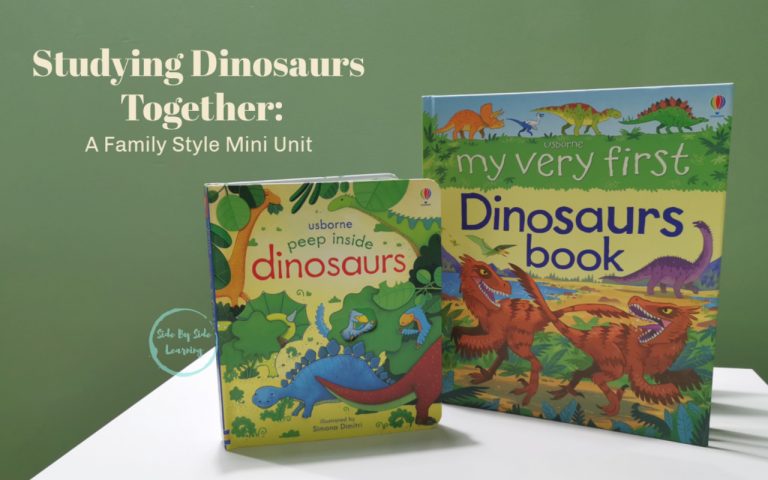 usborne wipe clean dinosaur activities