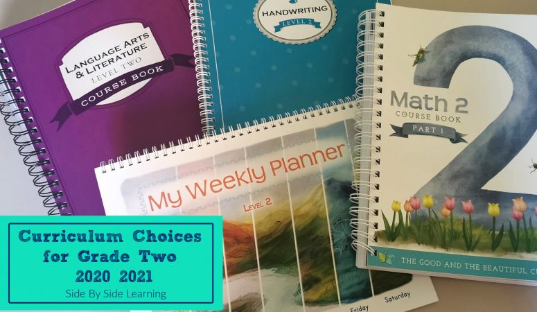 Grade Two Homeschool Curriculum Choices 2020-2021
