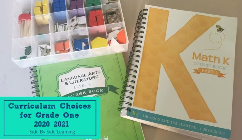Grade One Homeschool Curriculum Choices 2020-2021