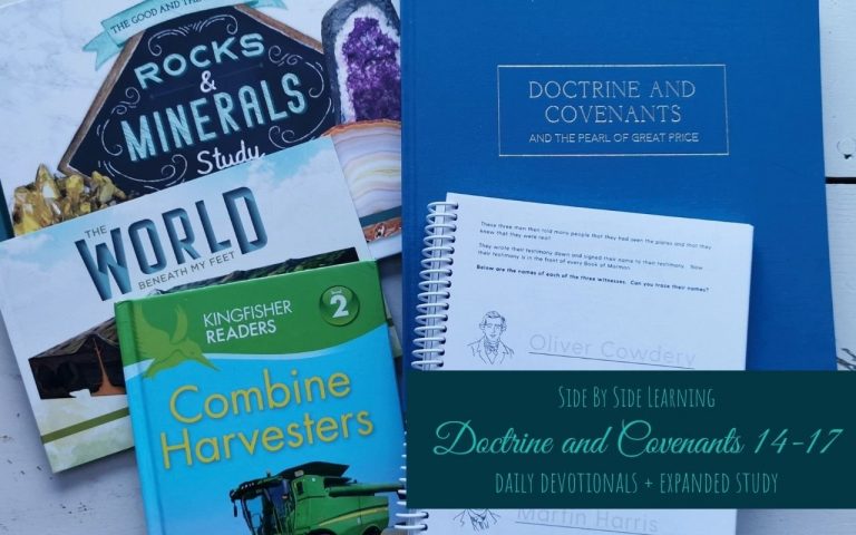 Doctrine and Covenants 14-17 Expanded Study